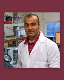 FSU College of Health and Human Sciences team receives grant to study diet for healthy aging